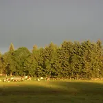 Les Roulottes De La Ferme Des Chanaux Saint-Julien-d'Ance