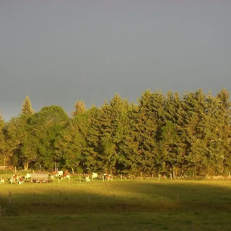 Les Roulottes De La Ferme Des Chanaux Saint-Julien-d'Ance